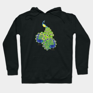 Beautiful Peacock Hoodie